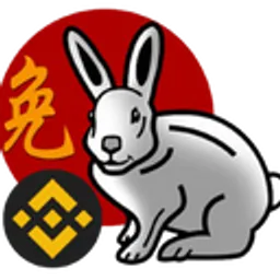 BNB RABBIT BSC token logo