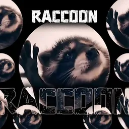 RACCOON