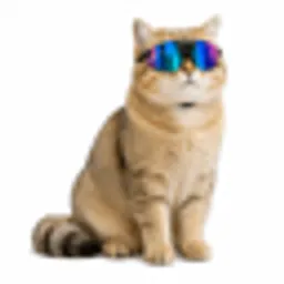 mogcat