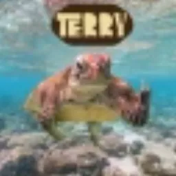 Terry The Disgruntled Turtle token logo