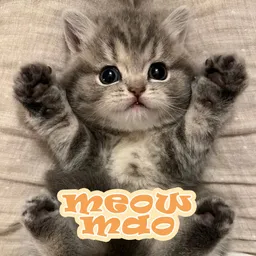 MEOWMAO token logo