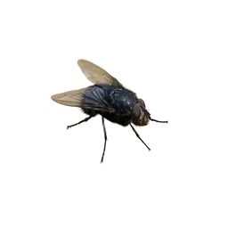 fly token logo