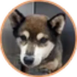 TOMO-COCORO'S SISTER token logo