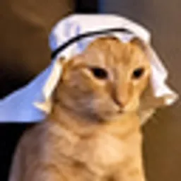 CRUDECAT