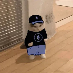 MICHI on ETH logo