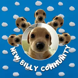 NEW BILLY COMMUNITY token logo