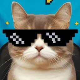 EPIC CAT