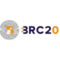 BRC20 BOT token logo