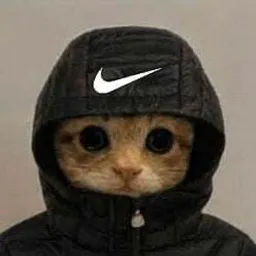 swif 