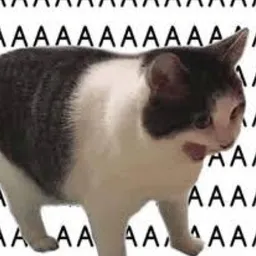 AAA