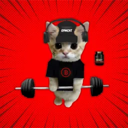 GYMCAT