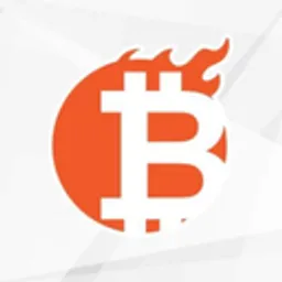 Bitburn token logo