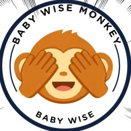 BABYWISE