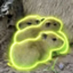 ILY