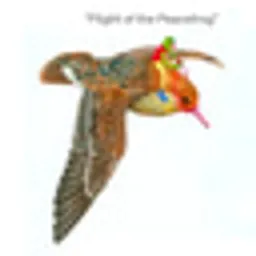 PeaceFrog