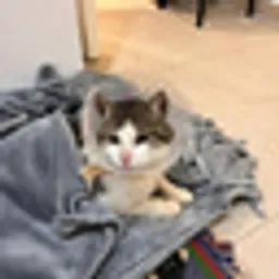 FRANKLIN
