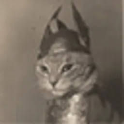 Brünnhilde
