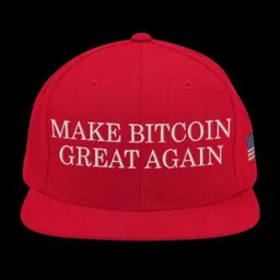 Make Bitcoin Great Again token logo