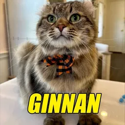 GINNAN