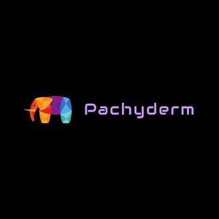 PACHYDERM token logo