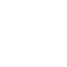 YOM token logo