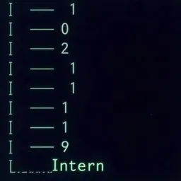 INTERN