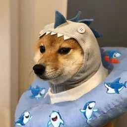 SHARK