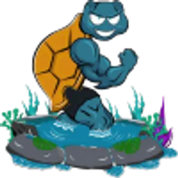 CARETTA