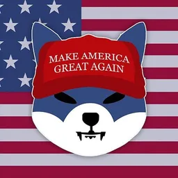 American Shib logo