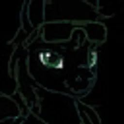 PONYLLM