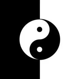 Yin And Yang  token logo