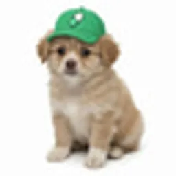 PUMPDOG