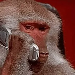 Monke Phone logo