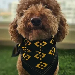 BINANCE DOG token logo