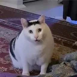 HUH