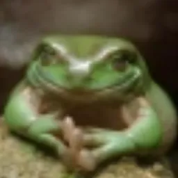 BADFROG