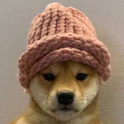 Dog wif hat token logo