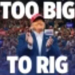 TOO BIG TO RIG token logo