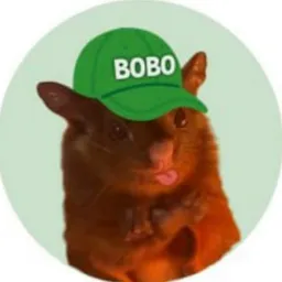 BOBO token logo