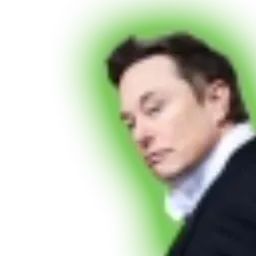 ELON