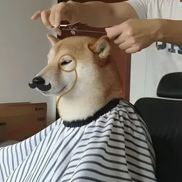 haircut dog token logo