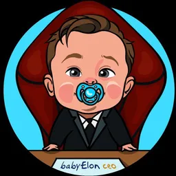 BabyElonCeo