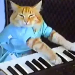 KEYCAT