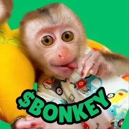 Baby Monkey token logo