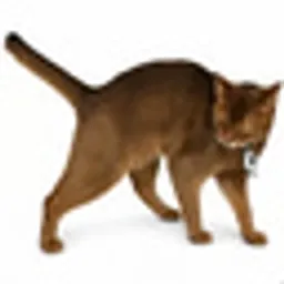 Schrödinger