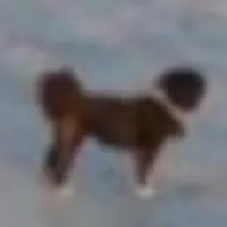 MARVIN