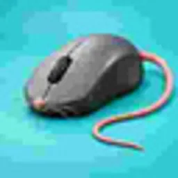 MOUSE