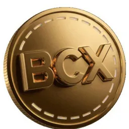 Big Coin token logo