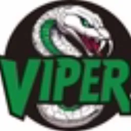 Viper token logo