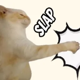 Slap Cat token logo